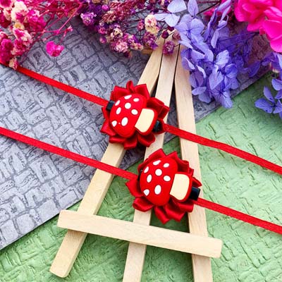 Newly design Mashroom character hairclips Rakhi combo for kids