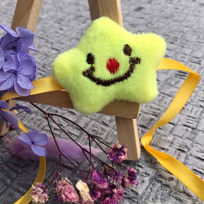 Smiling highlight Star Rakhi for Kids