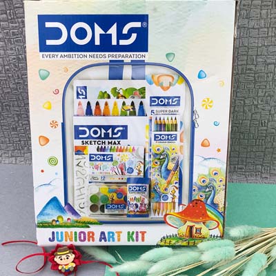 Kids cartoon Rakhi and Domz junior Art kit combo
