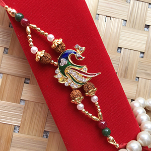Brother Rakhi