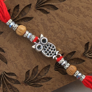 Fabulous Owl Design Cute Brother Rakhi Set for Raksha Bandhan